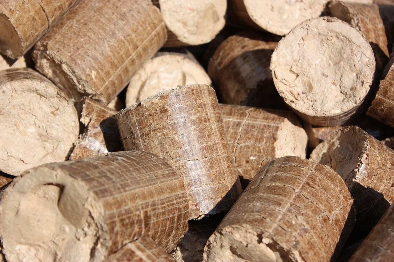 our-services-01 briquettes, pellets, wood, firewood, heat, fire, trees, burn, log, nature, wood supply, heap, detail photo