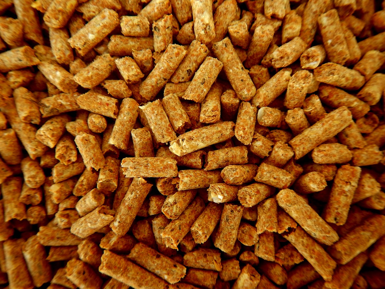 our-services-03 feed, animal nutrition, pellets, pellets, pellets, pellets, pellets, pellets